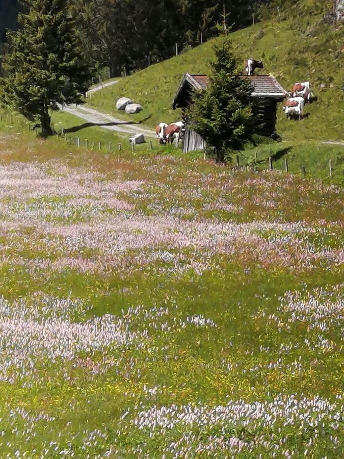 Haus Jessica Incl National Park Sommercard ミッタージル エクステリア 写真