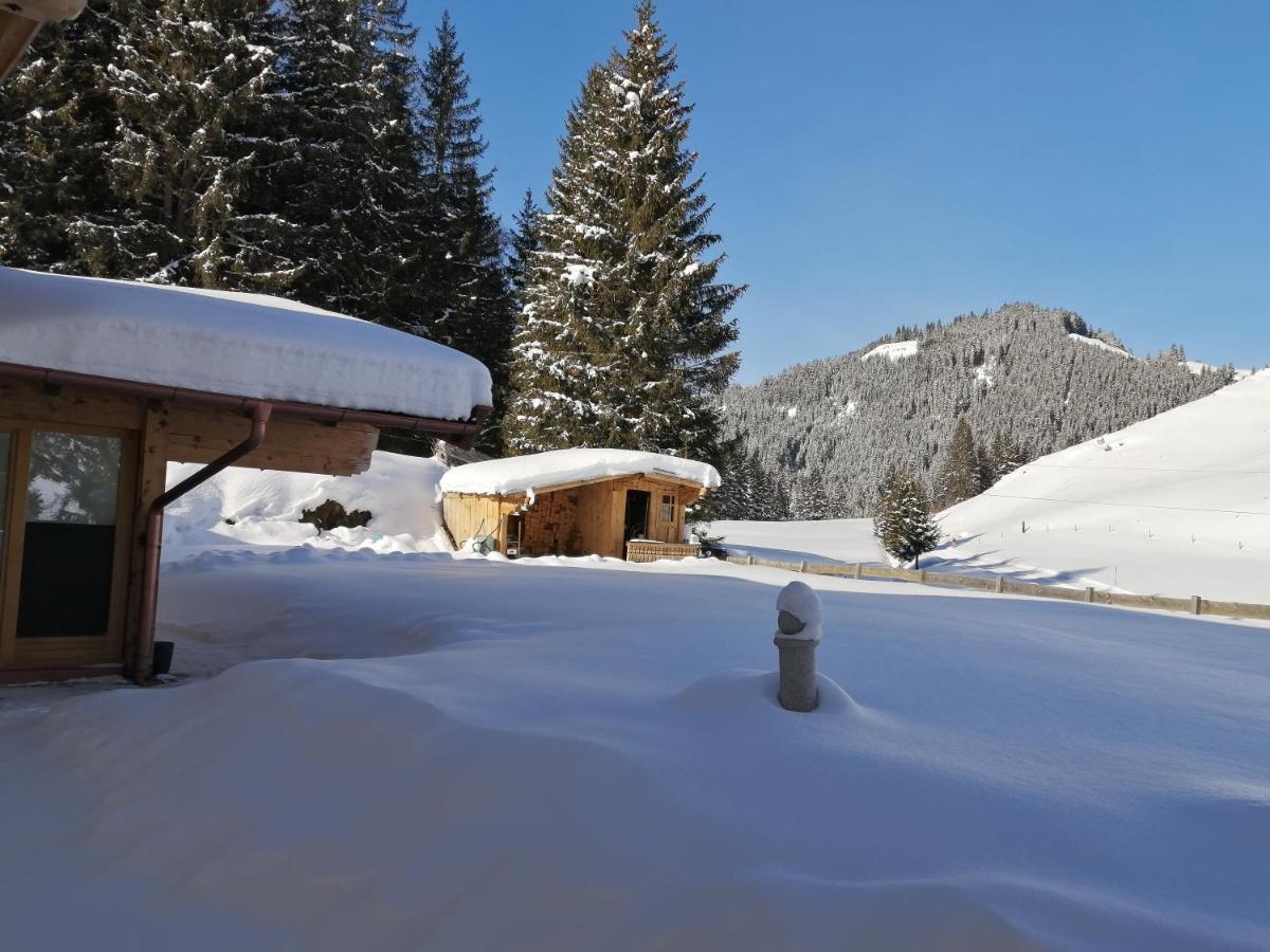 Haus Jessica Incl National Park Sommercard ミッタージル エクステリア 写真