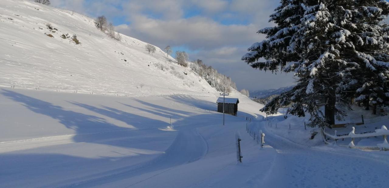 Haus Jessica Incl National Park Sommercard ミッタージル エクステリア 写真