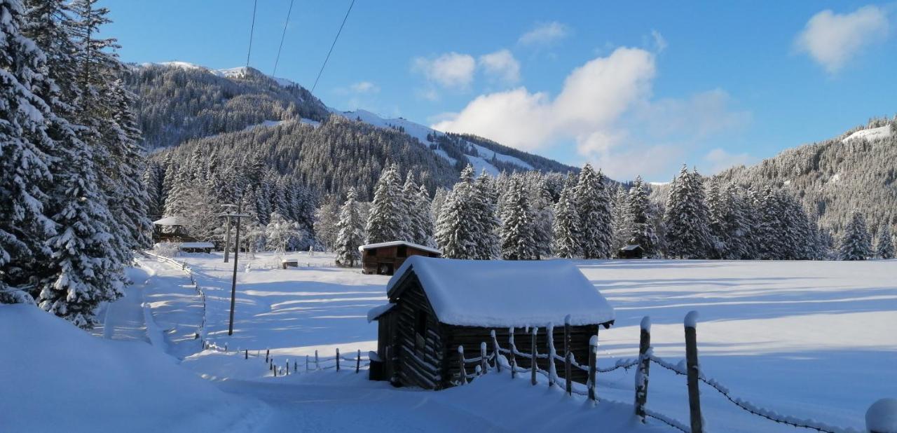 Haus Jessica Incl National Park Sommercard ミッタージル エクステリア 写真
